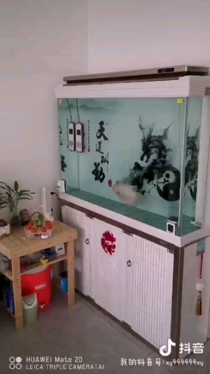 魚缸下料尺寸（魚缸下料尺寸怎么算）