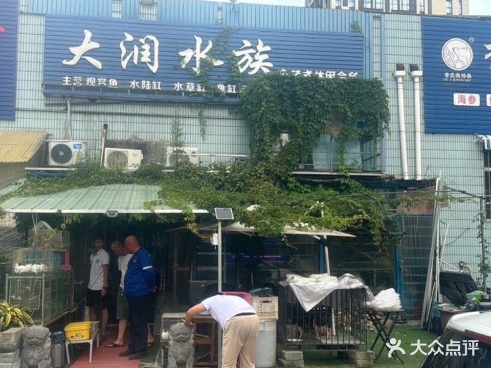 青島哪家魚缸店口碑最好？
