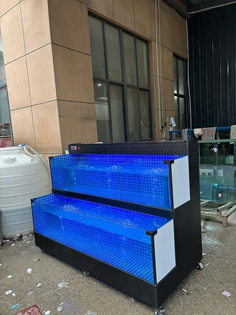 青島哪家魚缸店口碑最好？