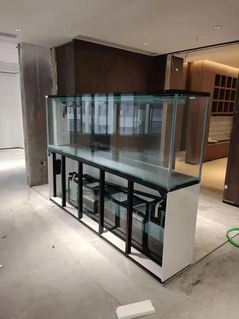 青島哪家魚缸店口碑最好？