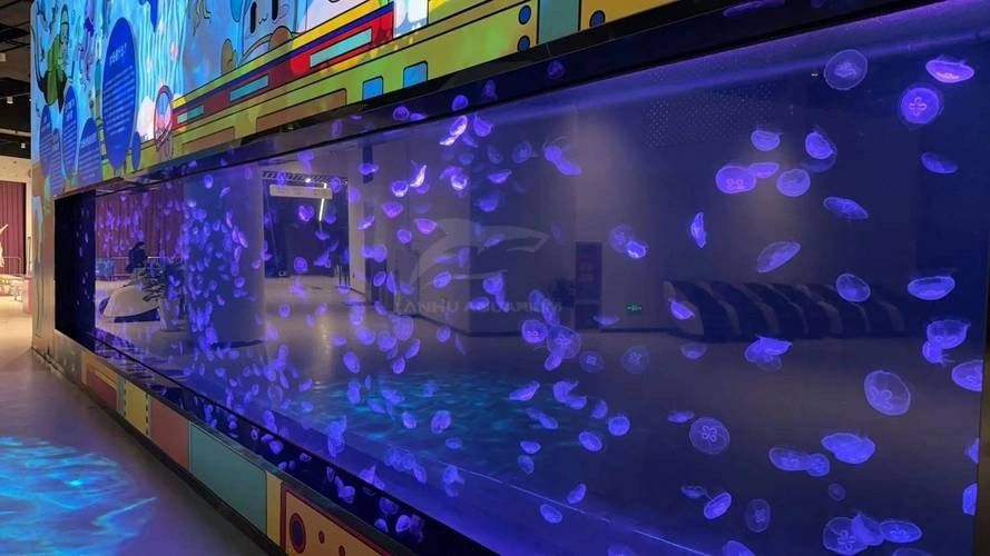 青島哪家魚缸店口碑最好？