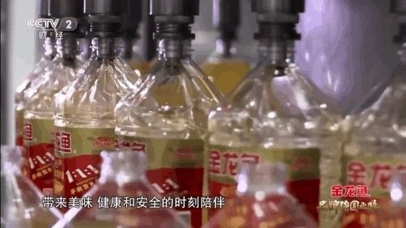 金龍魚生態稻有哪些系列 金龍魚生態稻有哪些系列 龍魚百科 第7張