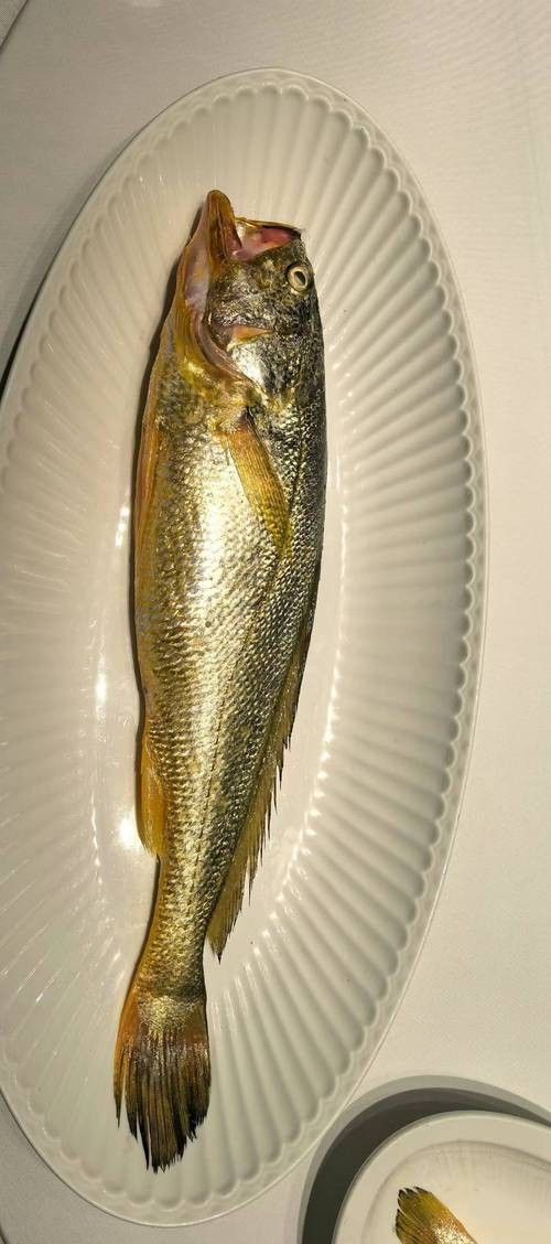 寧波龍魚市場(chǎng)的價(jià)格如何