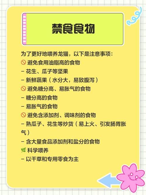 如何預防龍貓便秘 龍魚百科 第4張 如何預防龍貓便秘 如何預防龍貓便秘 龍魚百科 第4張