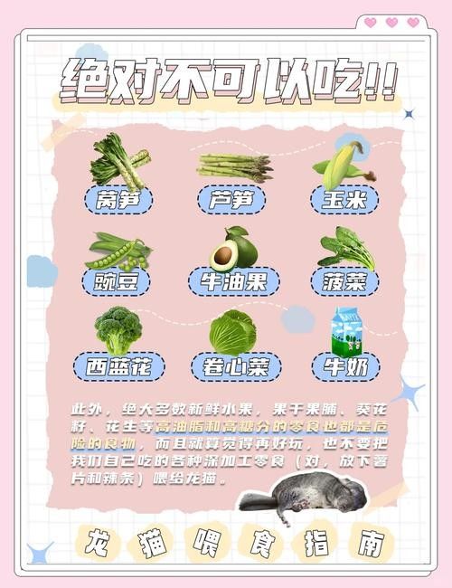 如何預防龍貓便秘 龍魚百科 第1張 如何預防龍貓便秘 如何預防龍貓便秘 龍魚百科 第1張