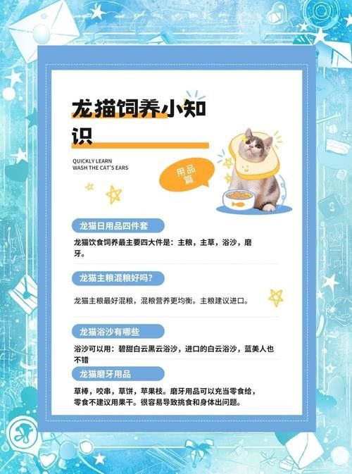 如何預防龍貓便秘 龍魚百科 第5張 如何預防龍貓便秘 如何預防龍貓便秘 龍魚百科 第5張