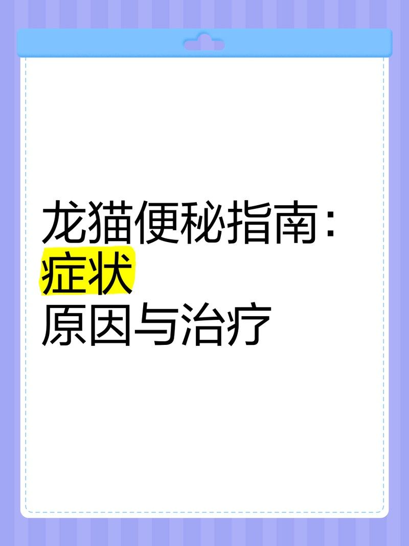如何預防龍貓便秘 如何預防龍貓便秘 龍魚百科 第8張
