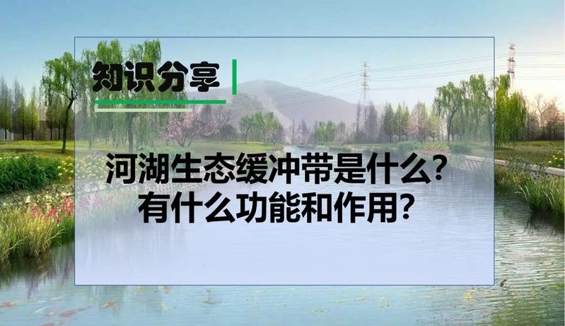 如何建立生態緩沖帶（建立生態緩沖帶的步驟和要點）