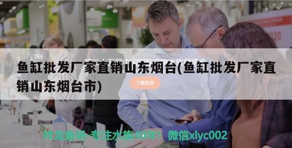 巴中龍魚哪里在買到好的魚，巴中龍魚哪里買到好的魚，巴中龍魚哪里在買到好的魚