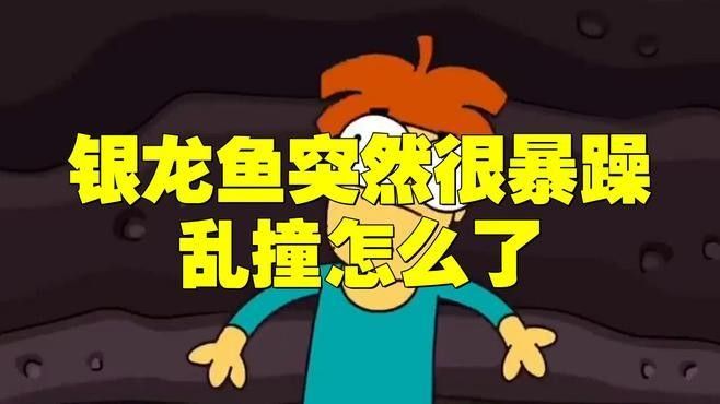 如何判斷龍魚是否饑餓 如何判斷龍魚是否饑餓 龍魚百科 第3張