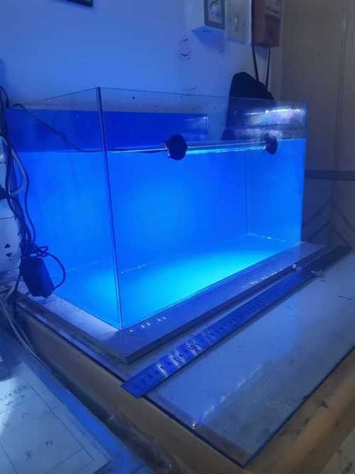 哪些品牌魚缸燈適合龍魚？