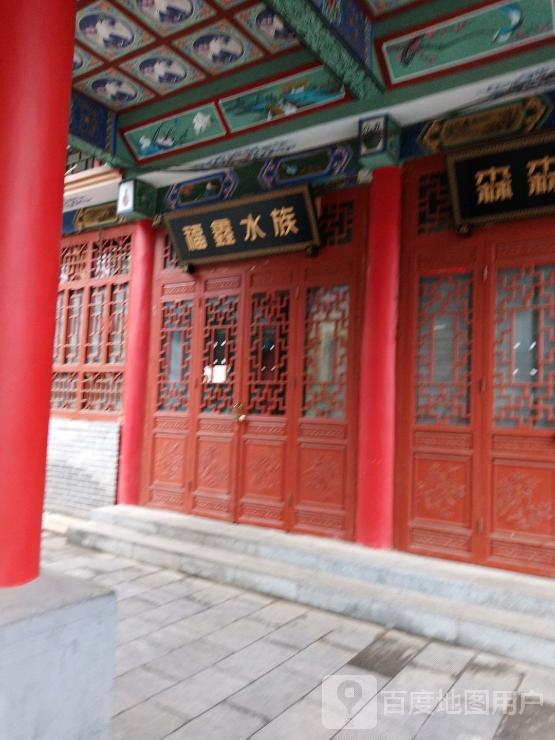 陽泉哪個水族館龍魚好？祥龍魚場龍魚 陽泉哪個水族館龍魚好？祥龍魚場龍魚 龍魚百科 第7張