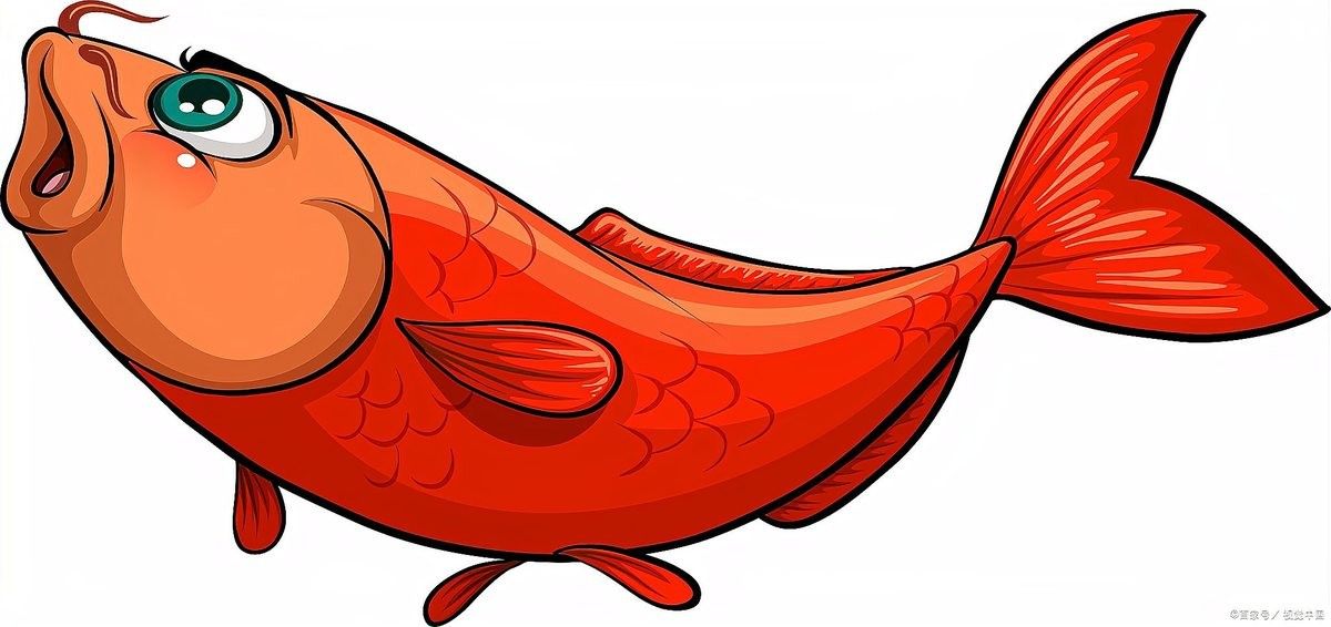 龍魚復眼在繁殖中有何作用（深海龍魚復眼在繁殖中的具體作用，龍魚復眼的作用）