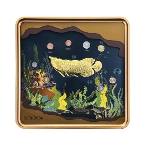 有哪些品牌龍魚過濾器材值得推薦？（龍魚過濾器材哪個牌子好）