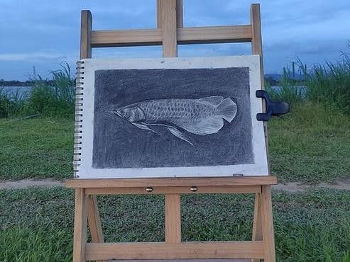 金龍魚素描作品欣賞（金龍魚素描作品欣賞：金龍魚素描作品欣賞，揭示其藝術魅力和文化價值）