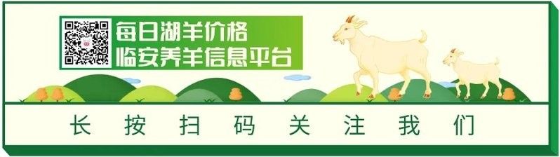 自制飼料與市售飼料有何區別（自制飼料與市售飼料在成分、營養價值和成本效益方面存在差異）