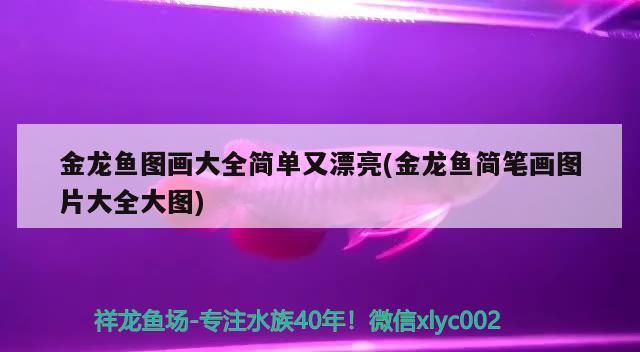 <strong><mark>上海</mark></strong>觀賞魚進(jìn)口商店有哪些品牌好(<strong><mark>上海</mark></strong>觀賞魚進(jìn)口商店有哪些品牌好的)（<strong><mark>上海</mark></strong>觀賞魚進(jìn)口商店有哪些品牌好）