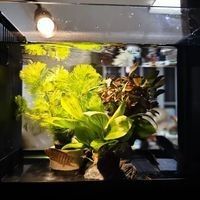 長虹水族旗艦店的龍魚缸價格如何？