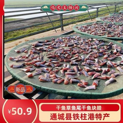 通城金龍魚和金龍魚區別（通城金龍魚與金龍魚的區別）