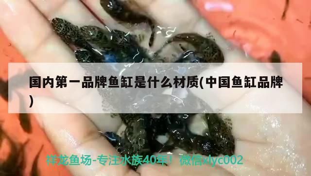 國內第一品牌魚缸是什么材質(中國魚缸品牌)