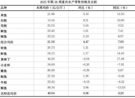 斑尾龍魚(yú)的價(jià)格是多少（如何飼養(yǎng)斑尾龍魚(yú)？斑尾龍魚(yú)需要多大的魚(yú)缸？）