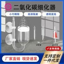 斑尾龍魚(yú)的價(jià)格是多少（如何飼養(yǎng)斑尾龍魚(yú)？斑尾龍魚(yú)需要多大的魚(yú)缸？）