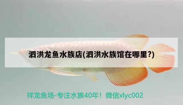 <strong><mark>泗洪</mark></strong>龍魚水族店(<strong><mark>泗洪</mark></strong>水族館在哪里?)（<strong><mark>泗洪</mark></strong>龍魚水族店）