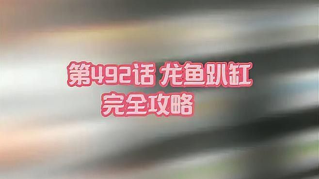 龍魚趴缸多久會死亡（關于龍魚趴缸問題）