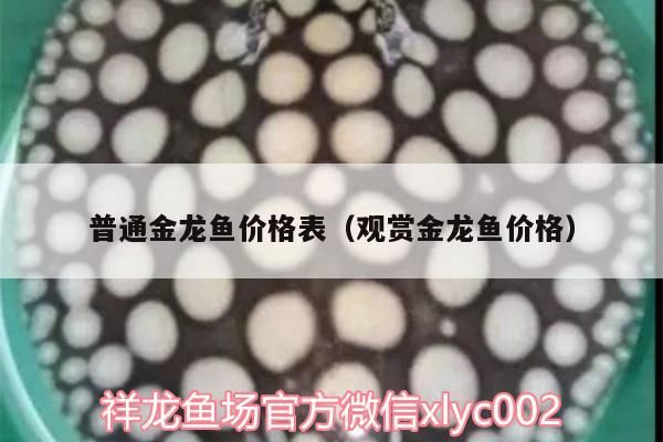 過背金龍魚 普通金龍魚價格表(觀賞金龍魚價格) 觀賞魚百科 普通金龍魚價格表(觀賞金龍魚價格) 普通金龍魚價格表(觀賞金龍魚價格) 觀賞魚百科