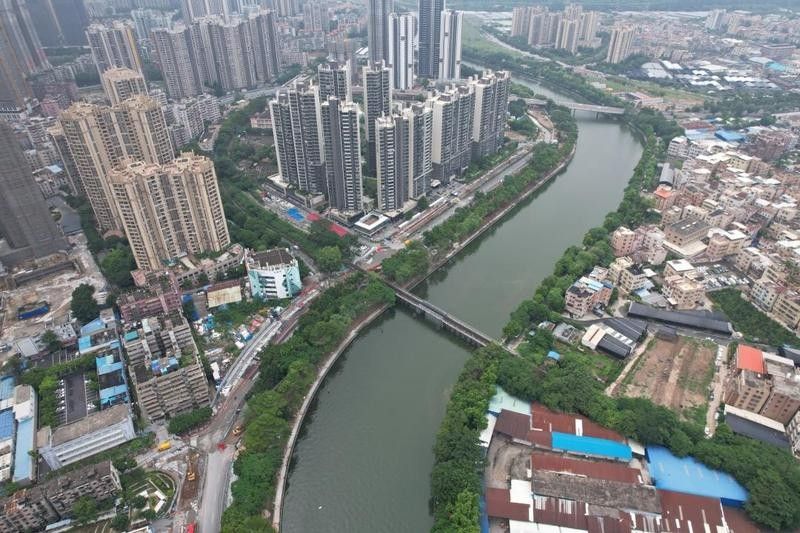 花地灣市場的交通情況 花地灣市場的交通情況 龍魚百科 第6張