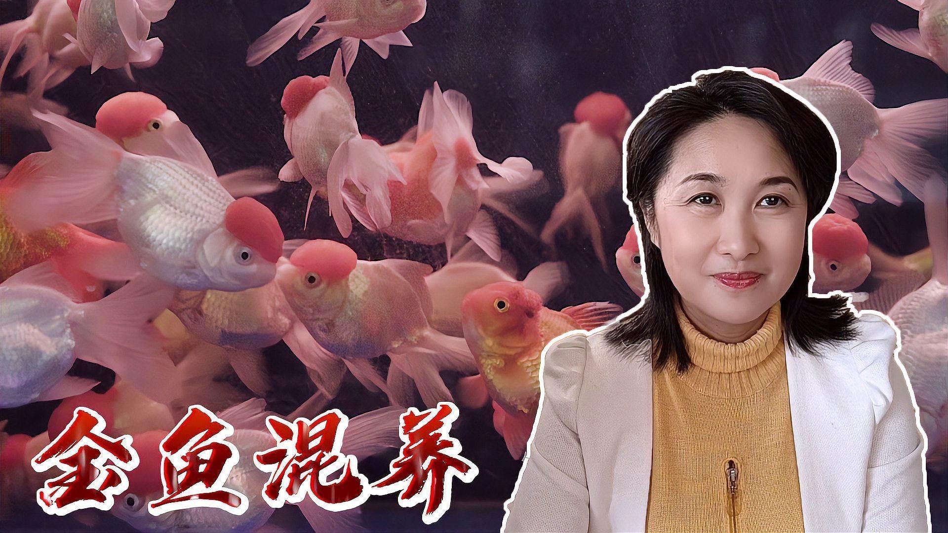 金魚混養有哪些推薦（五種最適合與金魚混養的小型魚）