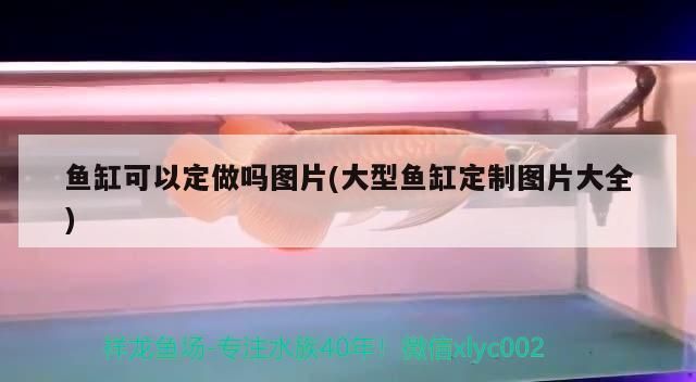 魚缸可以定做嗎圖片(大型魚缸定制圖片大全) 魚缸可以定做嗎圖片(大型魚缸定制圖片大全) 觀賞魚百科