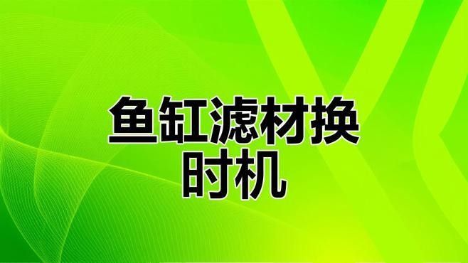 龍魚缸過濾材料多久換一次（魚缸過濾材料多久換一次）