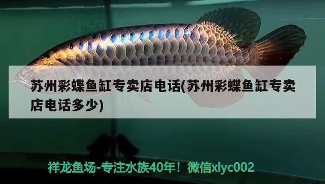 魚缸燈藍(lán)色白色有什么用呢（魚缸燈白色和藍(lán)色的區(qū)別）