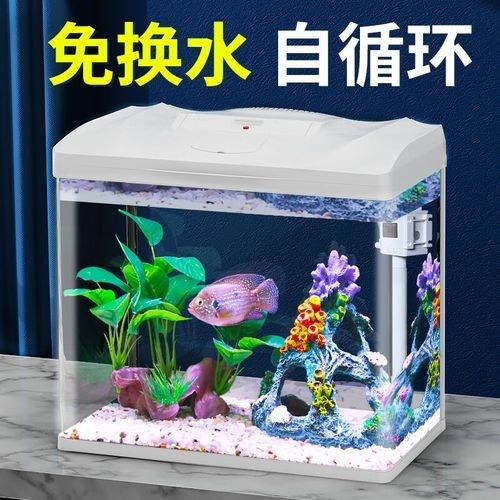 哪個品牌的魚缸造景評價最好？（火山石魚缸造景品牌評價較好的魚缸造景品牌及品牌排行榜）