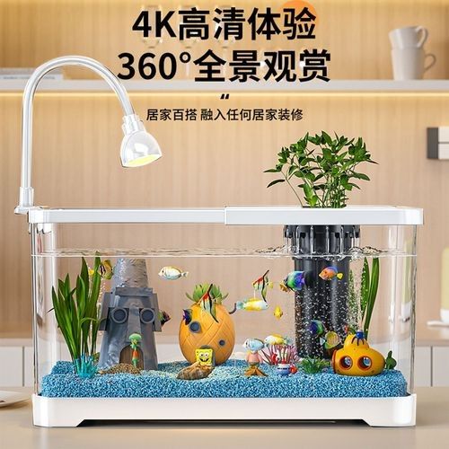哪個品牌的魚缸造景評價最好？（火山石魚缸造景品牌評價較好的魚缸造景品牌及品牌排行榜）