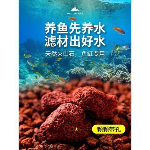營口二手魚缸市場電話號碼查詢，營口二手魚缸市場地址查詢