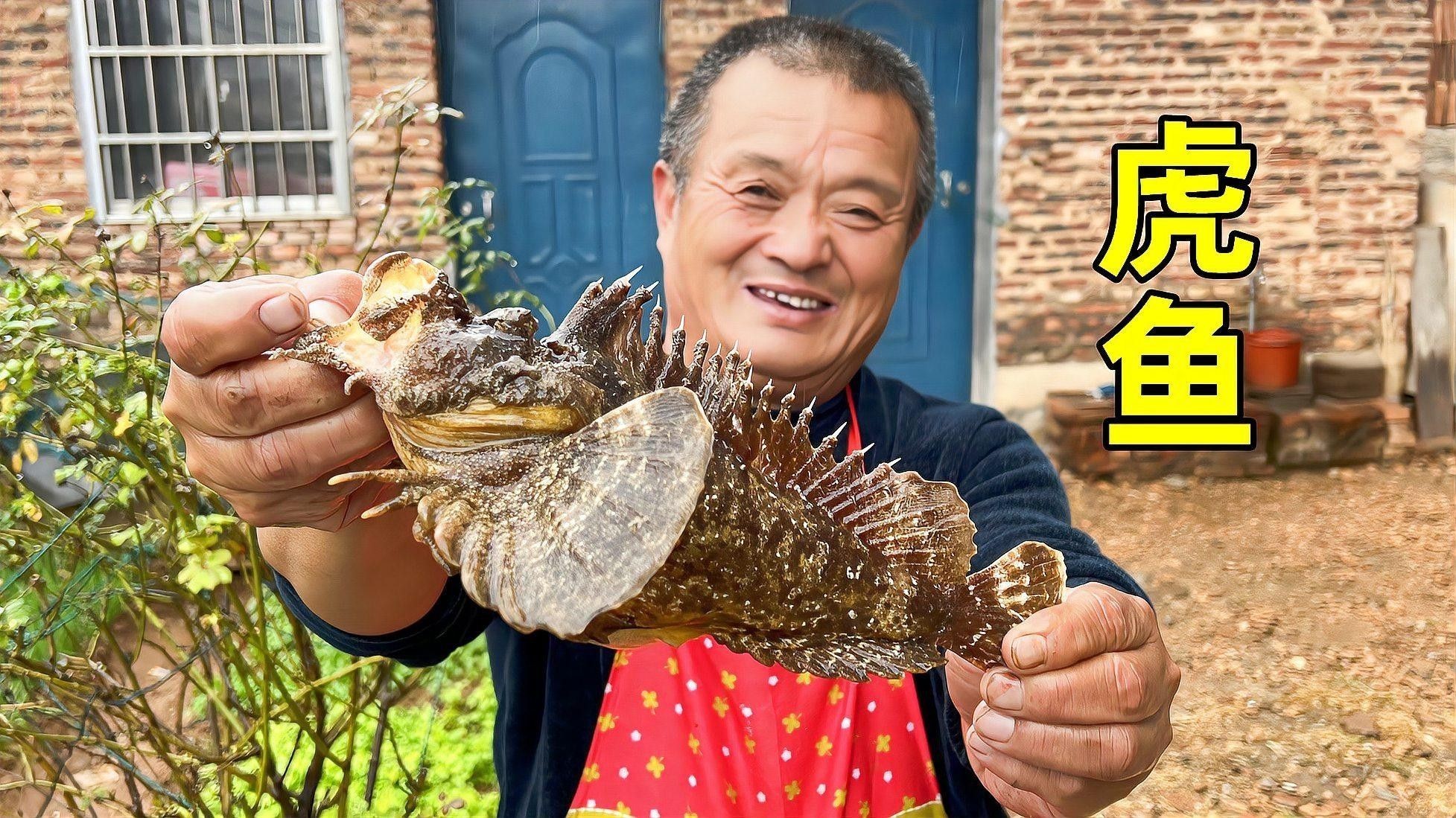 如何判斷龍魚和虎魚是否健康（如何通過日常觀察，發現觀賞魚的健康狀況） 如何判斷龍魚和虎魚是否健康（如何通過日常觀察，發現觀賞魚的健康狀況） 龍魚百科 第4張