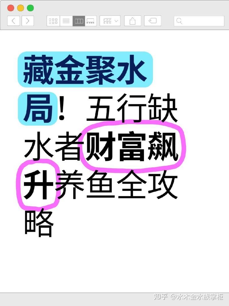 屬雞者養(yǎng)龍魚有哪些開運方法（屬雞者養(yǎng)龍魚的開運方法）