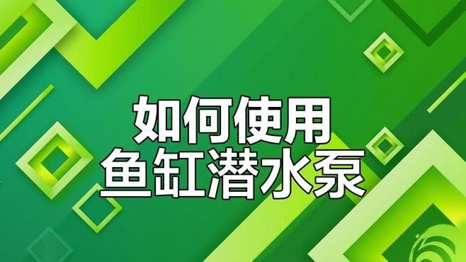如何安裝西龍魚缸水泵 如何安裝西龍魚缸水泵 龍魚百科 第2張