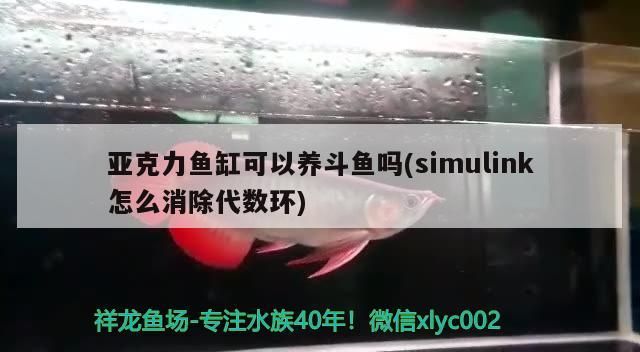 亞克力魚缸可以養斗魚嗎(simulink怎么消除代數環) 亞克力魚缸可以養斗魚嗎(simulink怎么消除代數環) 觀賞魚百科