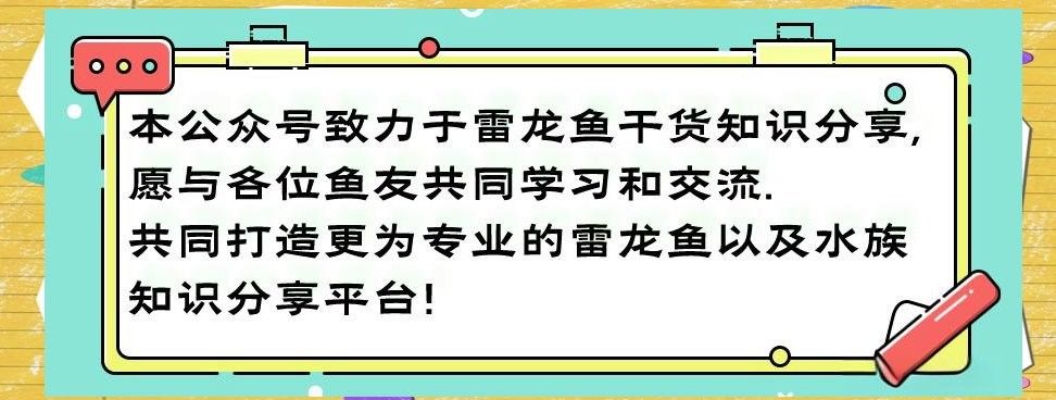 蒙眼病對(duì)雷龍魚(yú)有哪些具體影響