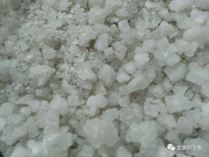 哪些藥物對龍睛金魚最安全