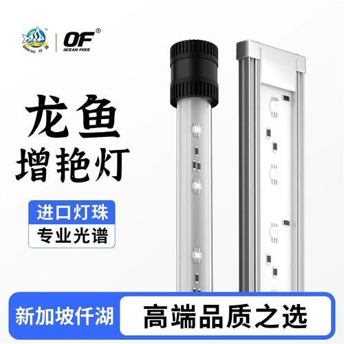 如何挑選適合龍魚的LED燈