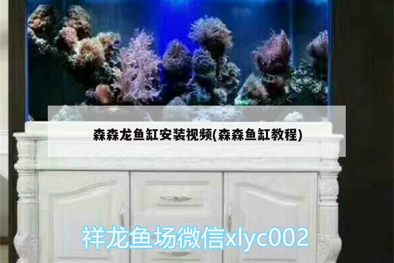 森森龍魚缸安裝視頻(森森魚缸教程)（森森魚缸安裝視頻）