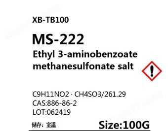MS-222麻醉劑如何儲存？（ms-222麻醉劑儲存的要點） MS-222麻醉劑如何儲存？（ms-222麻醉劑儲存的要點） 龍魚百科 第4張