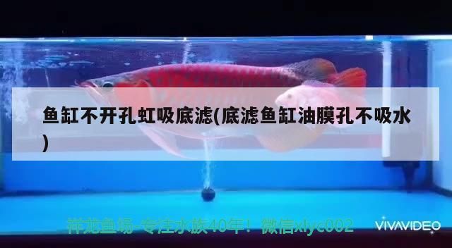 請高手解答一下謝謝了