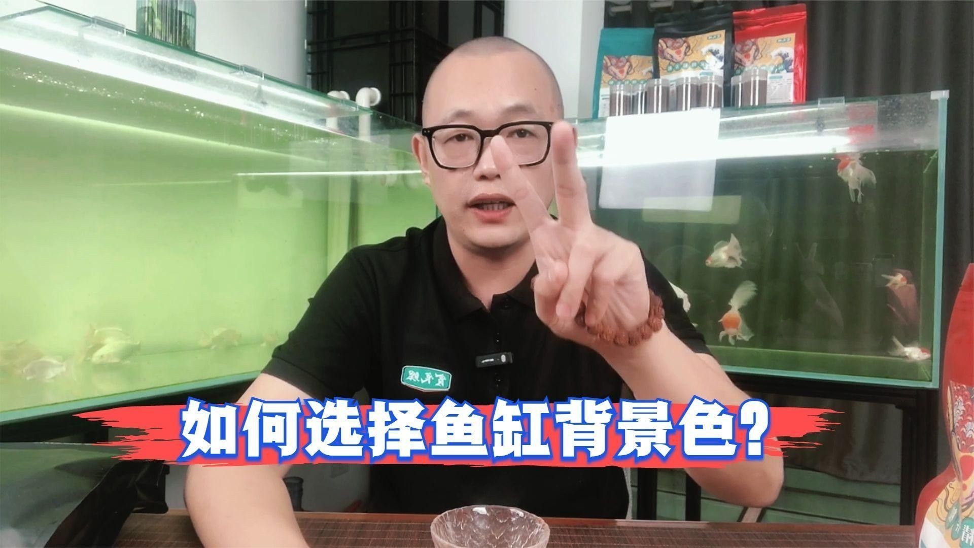 如何選擇合適的魚缸底色