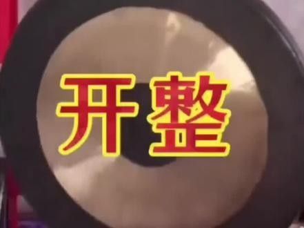 金點龍魚適合新手嗎？