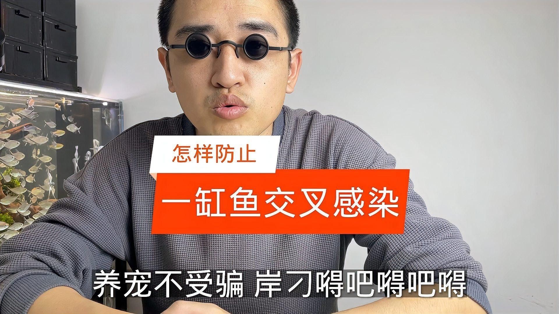 哪種雷龍魚與虎斑恐龍魚混養最佳（虎斑恐龍魚和虎斑恐龍魚混養時需要考慮以下幾點）